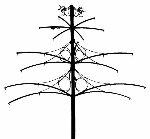 Hanging baskets, Cardiff